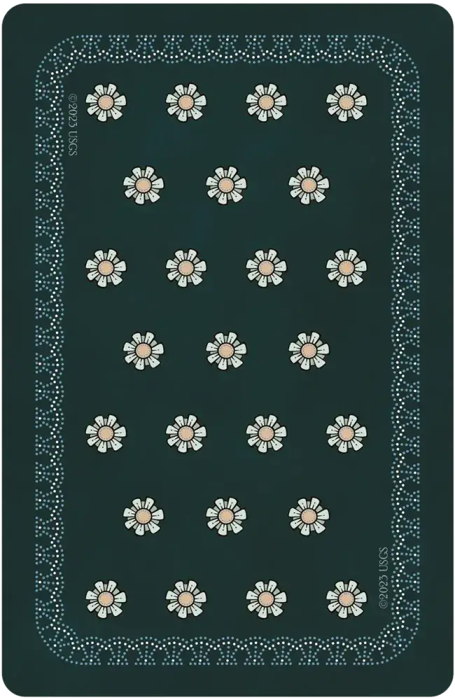 U.S. Games Systems Inc. - Wholesale Tarot Cards - Universal Folk Tarot10