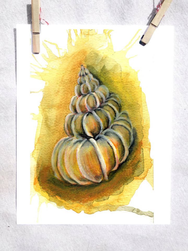 Ocean Precious Wentle Shell kunst Print for engroshandel hos Lindsey Munson