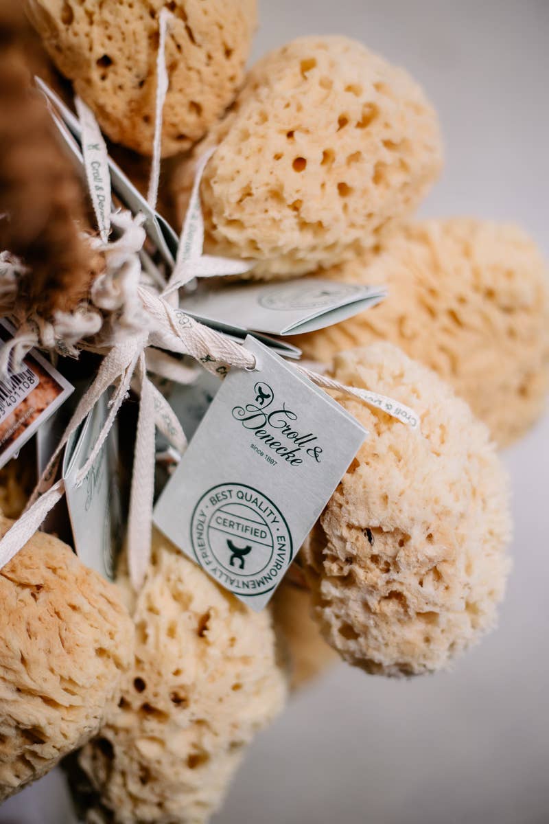 Croll & Denecke – Großhandel Badepuff/-schwamm – Naturschwamm Traube, Shop Display 20253