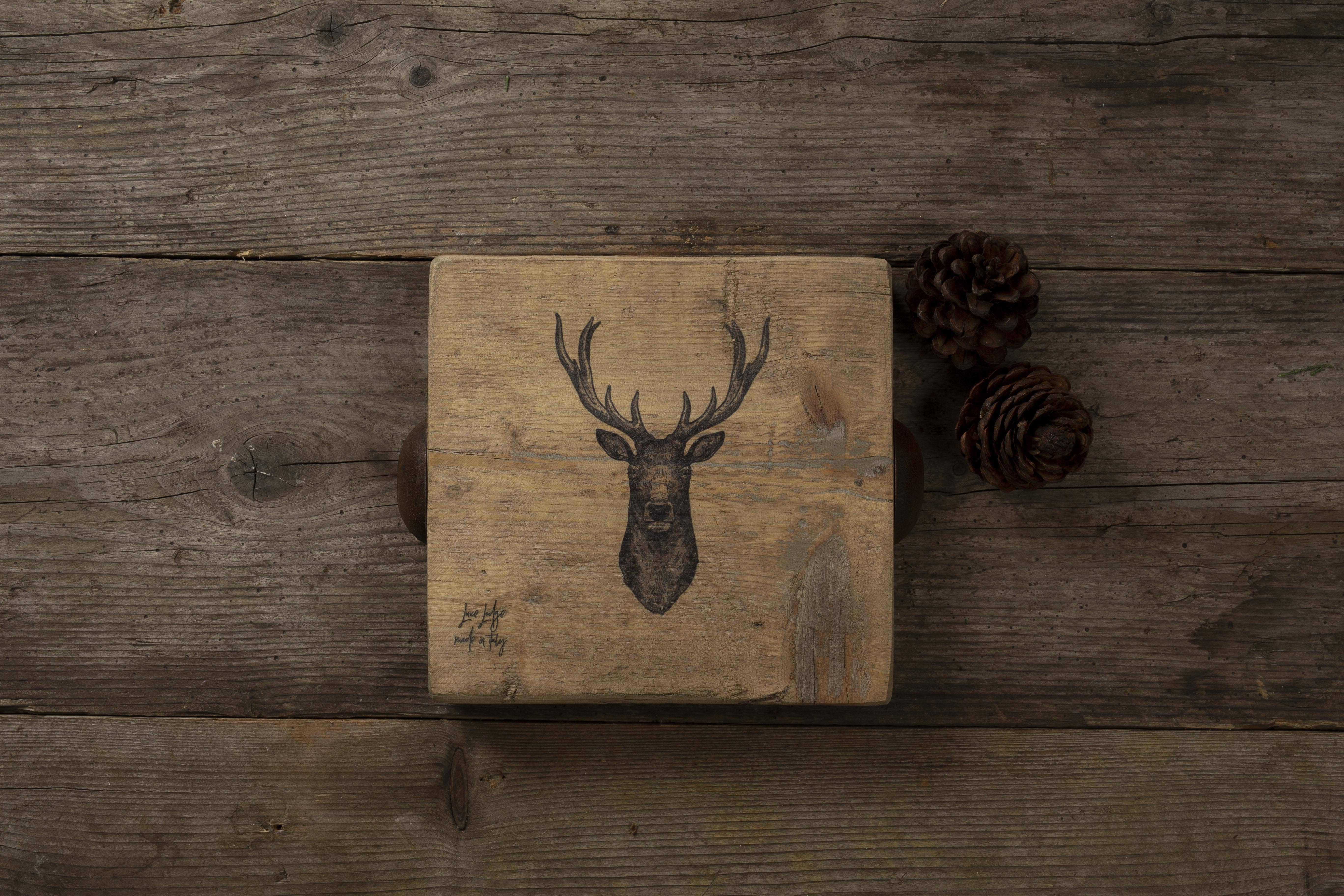 Luxe Lodge - Wholesale Decorative Plate/Dish/Bowl - Pot Rest