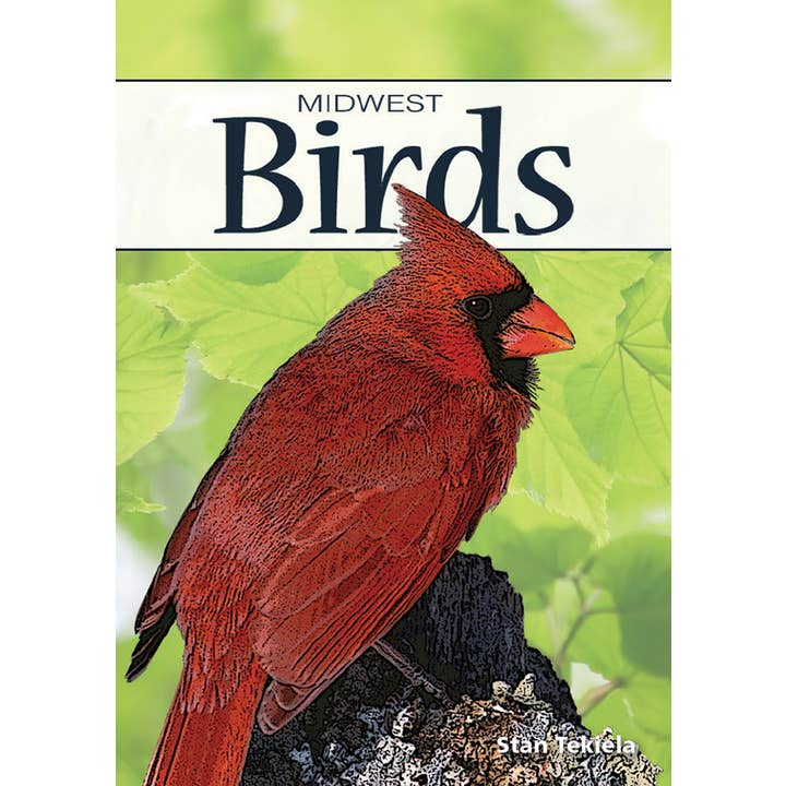 AdventureKEEN - Wholesale Playing Cards - Birds of Midwest Playing Cards