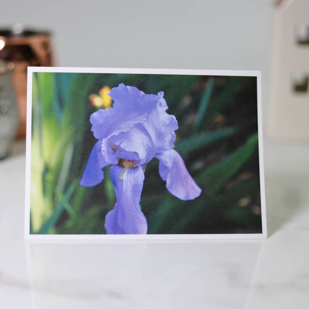 New England Prints - Wholesale Stationery/Notecard Set - Box of 5 All Occasion Summer Bloom Blank Note Cards5