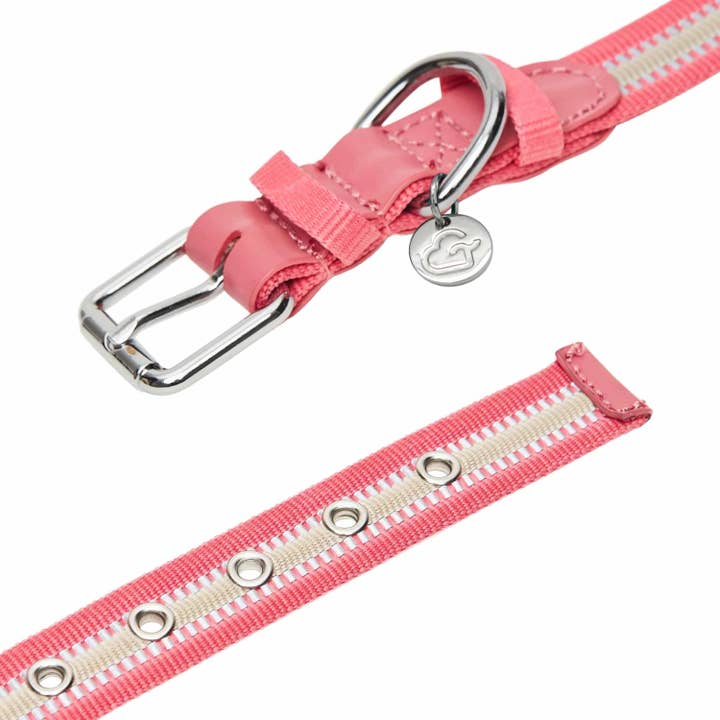Blueberry Pet – wholesale Halsband - Hund – 3M Reflekterande Randig Hundhalsband – Hållbart & Stilfullt25
