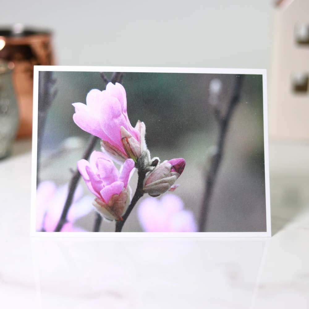 New England Prints - Wholesale Stationery/Notecard Set - Box of 5 All Occasion Spring Blossom Blank Note Cards5