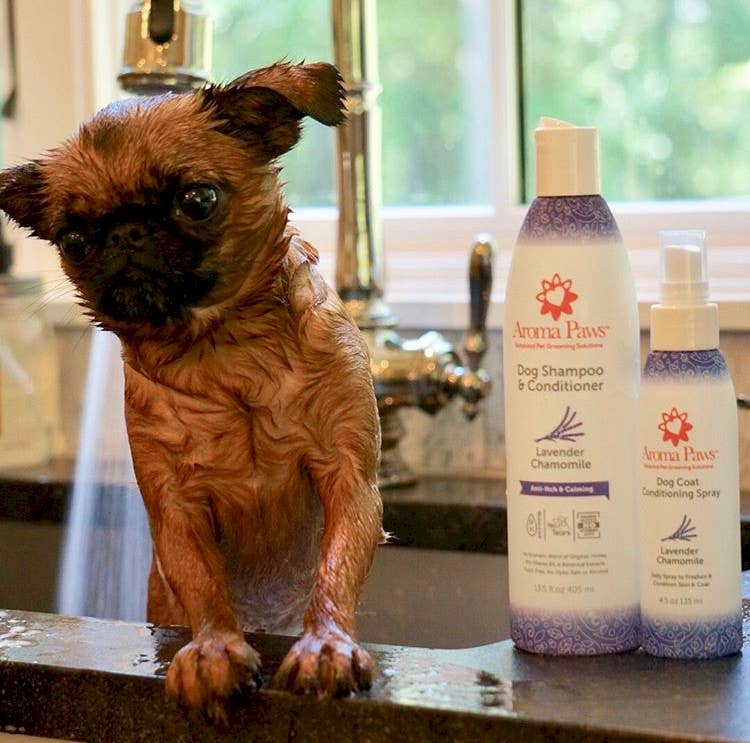 Aroma Paws - Wholesale Pet Shampoo - Dog - 13.5 Oz. Shampoo Lavender Chamomile6