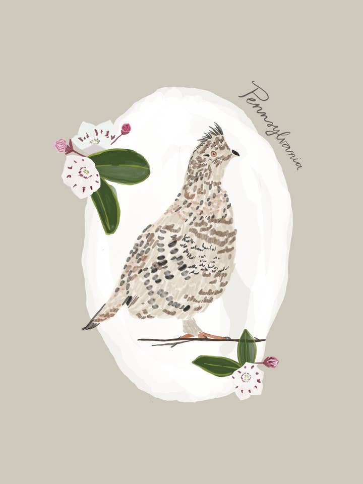 Pennsylvania State Bird & Flower Print for wholesale by Daley Kaye Studio