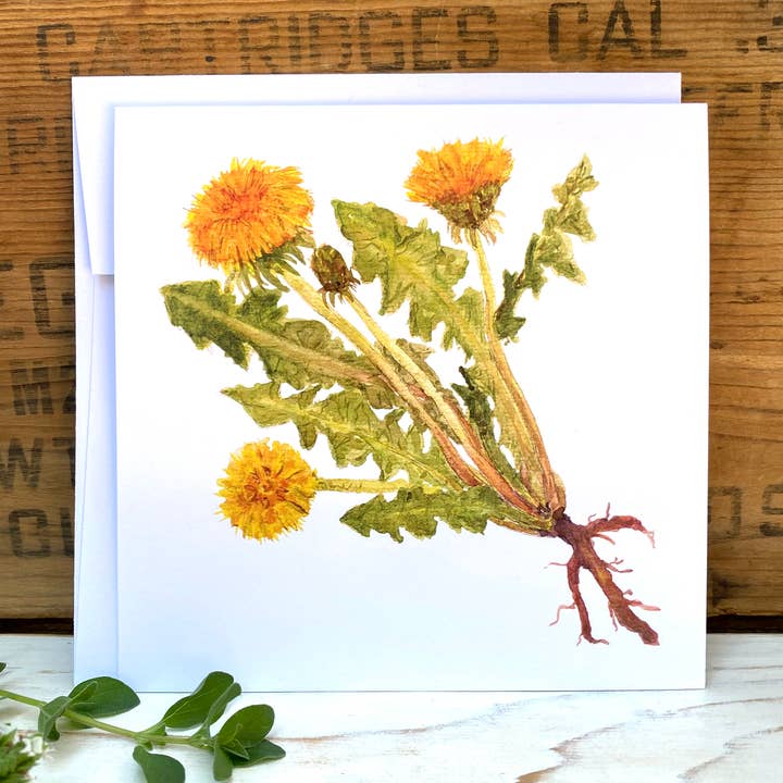 Diente de león (en blanco): tarjeta de arte de la serie acuarela para venta al por mayor de Dark Fox Creative