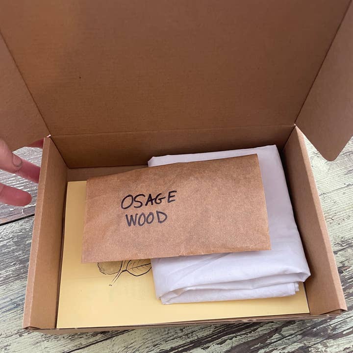 Rosemarine Textiles - Wholesale DIY Craft Kit - Osage Wood Dye Kit5