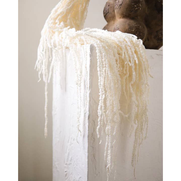 Twenty Third by Deanne – wholesale Dried/pressed flowers – Dried Amaranthus (White)