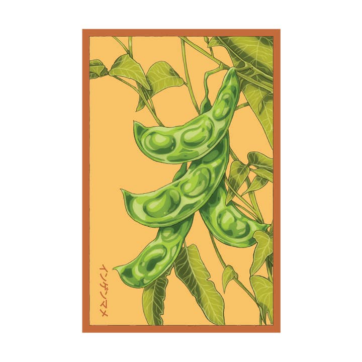 2026 King of the Garden Bean Vegetable Seeds Packet for wholesale by Chive