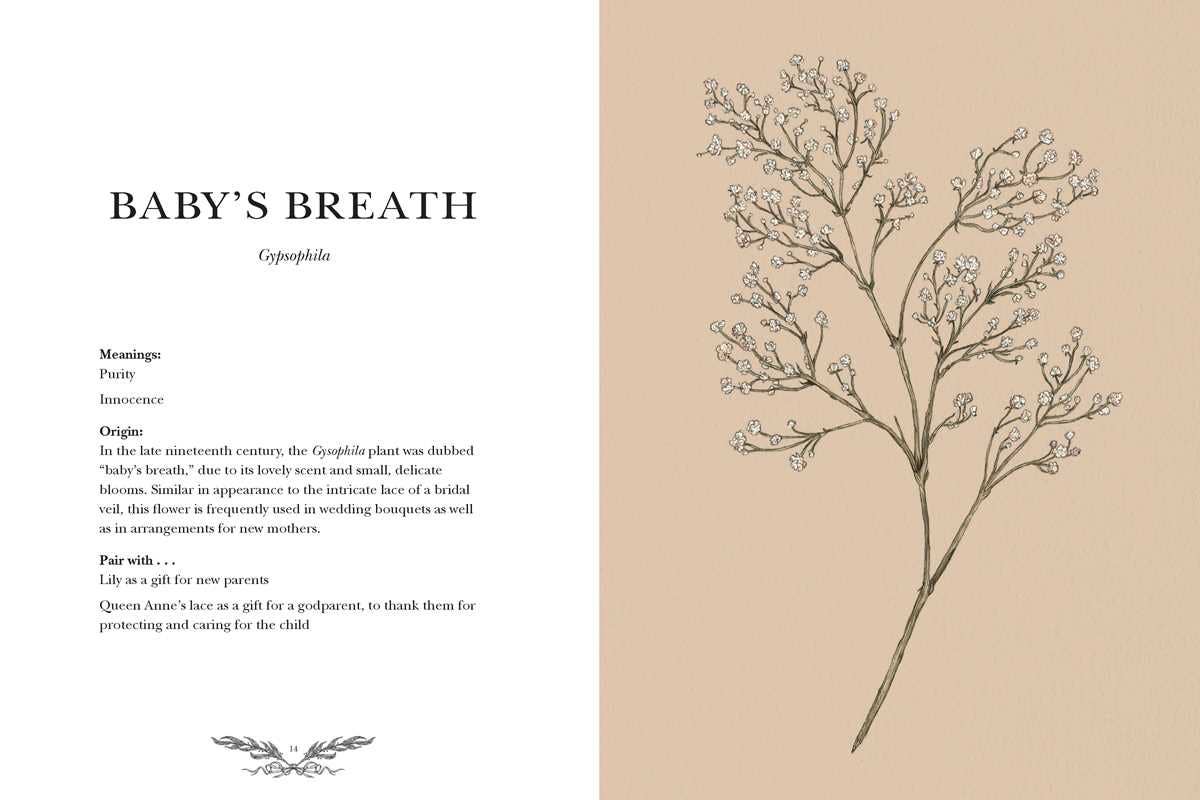 Simon & Schuster - Wholesale Reference - Floriography by Jessica  Roux2