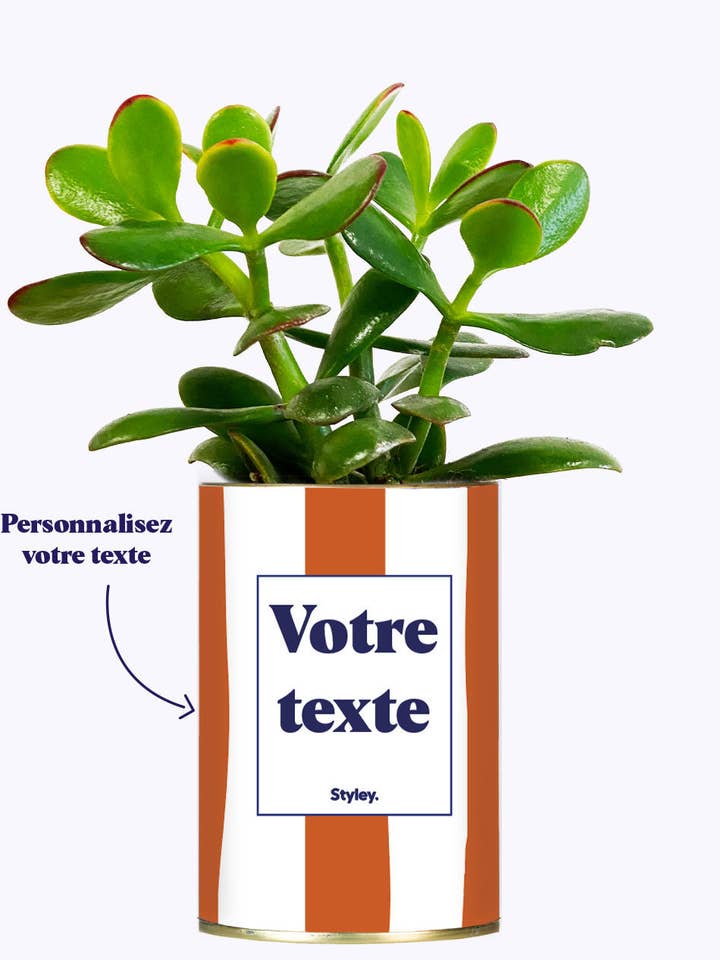 Rayures Terracotta - Plante Personnalisable for wholesale by Styley