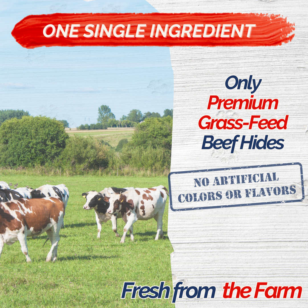 Fresh Farms Pet – Engroshandel Godbid - Hund – 50 stk. 30 cm kollagenstænger til hunde - lugtfri, langtidsholdbare, alternativ til bully sticks med chondroitin og glucosamin, naturlige og sikre, gavnlige for hofte, led, hud og pels5