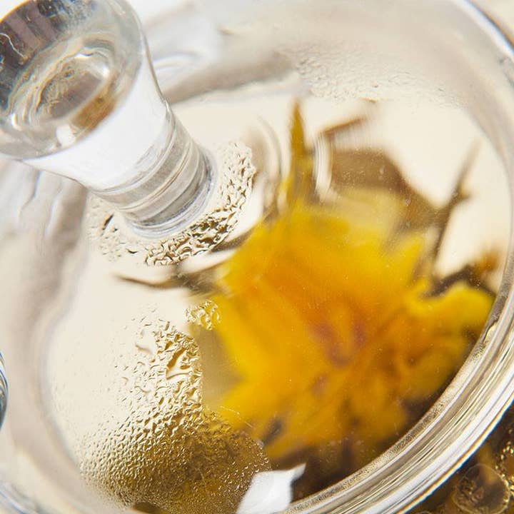 Tea soul - Wholesale Tea Pot - Glass teapot with steel filter 500ml2