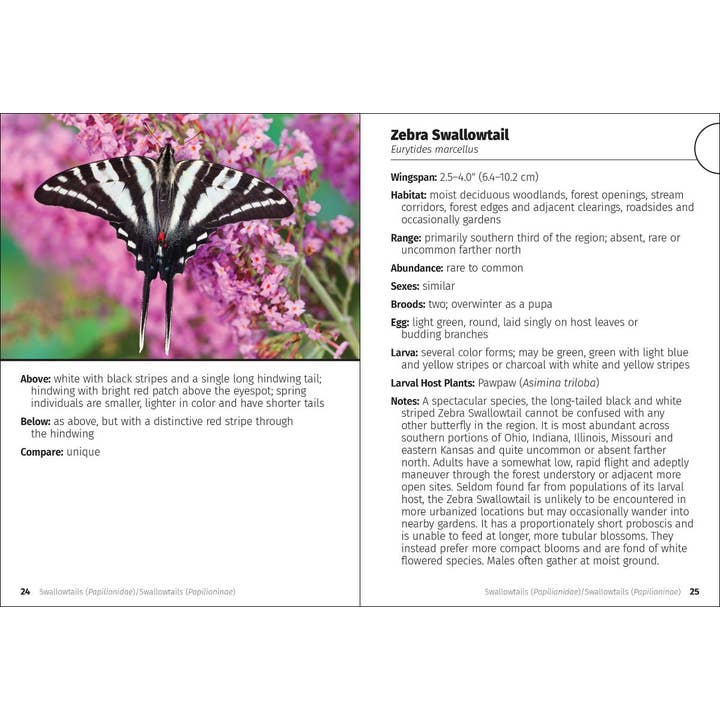 AdventureKEEN - Wholesale Nature & Outdoors - Butterflies of the Midwest Field Guide3