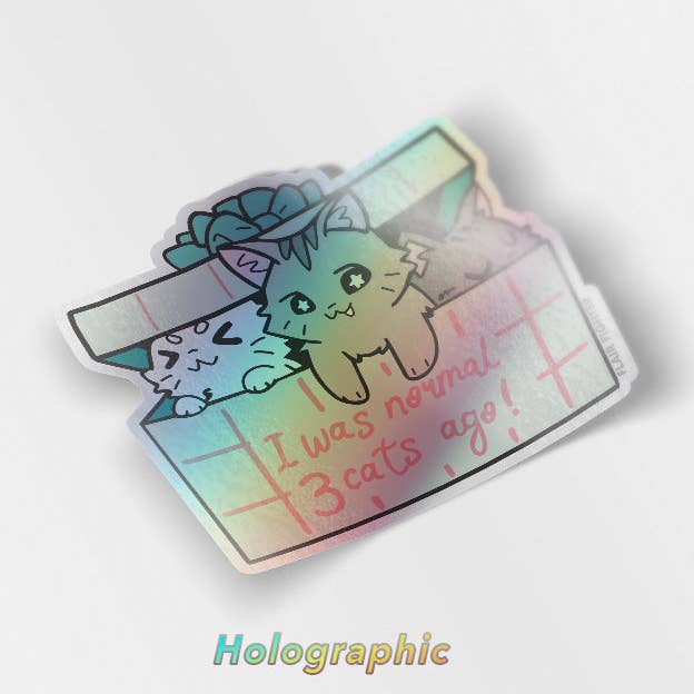 Jeg var normal for 3 katte siden (indenlandsk korthårskat) holografisk vinylklistermærke for engroshandel hos Flair Fighter