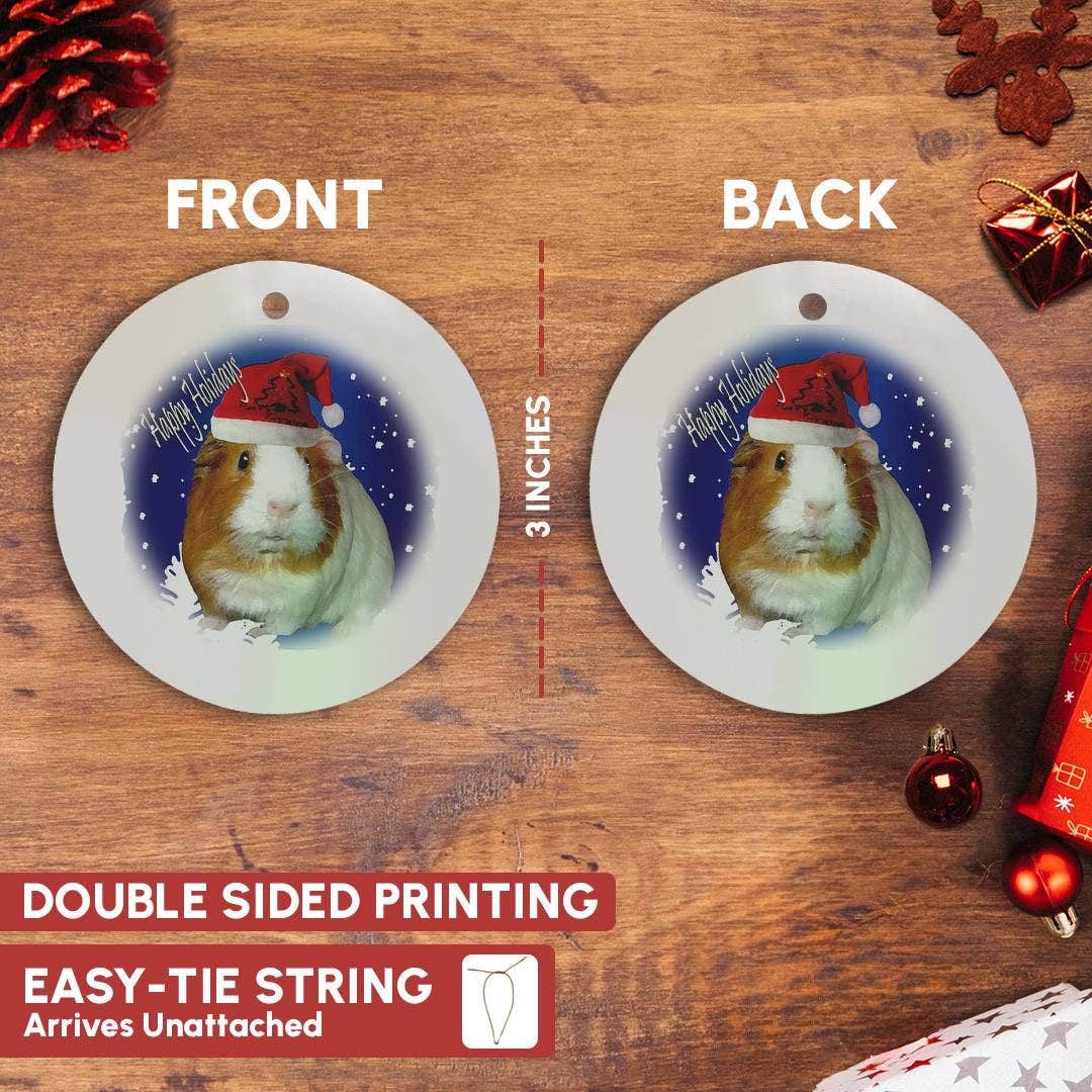 3dRose - Vendita all'ingrosso Decorazione - 3dRose, Porcellino d'India di Natale, Ornamento2