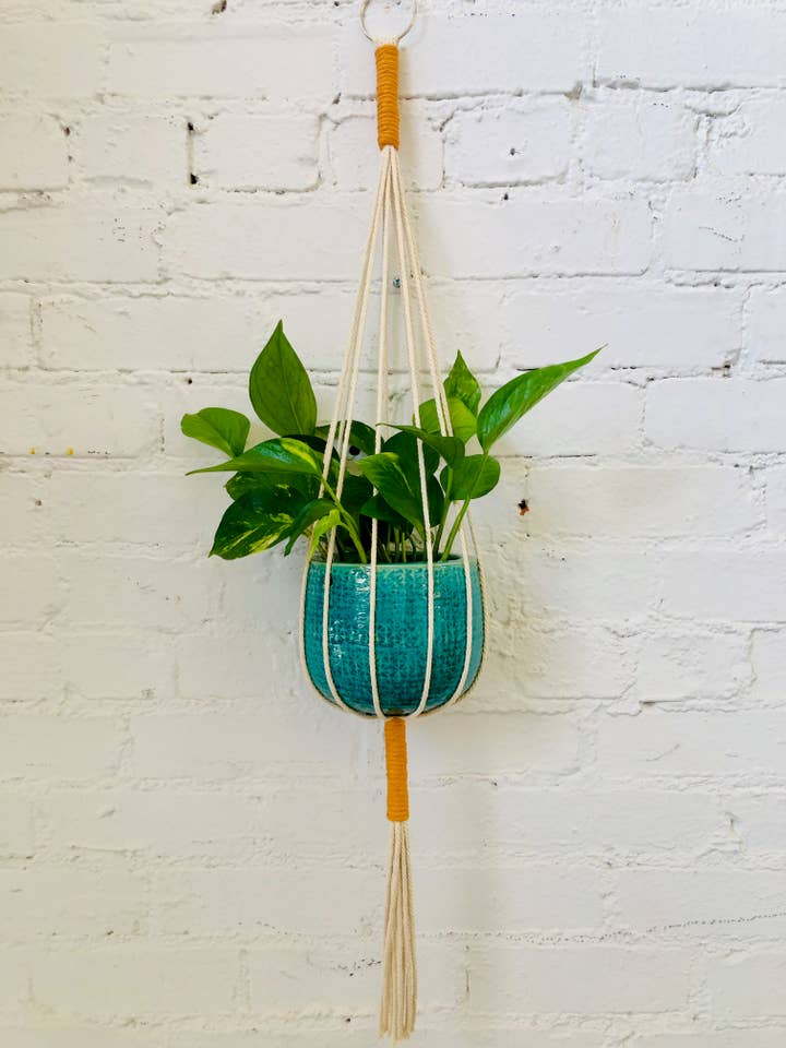 Joshua Tree Two-Tone Plant Hanger for wholesale by The Savage Hand