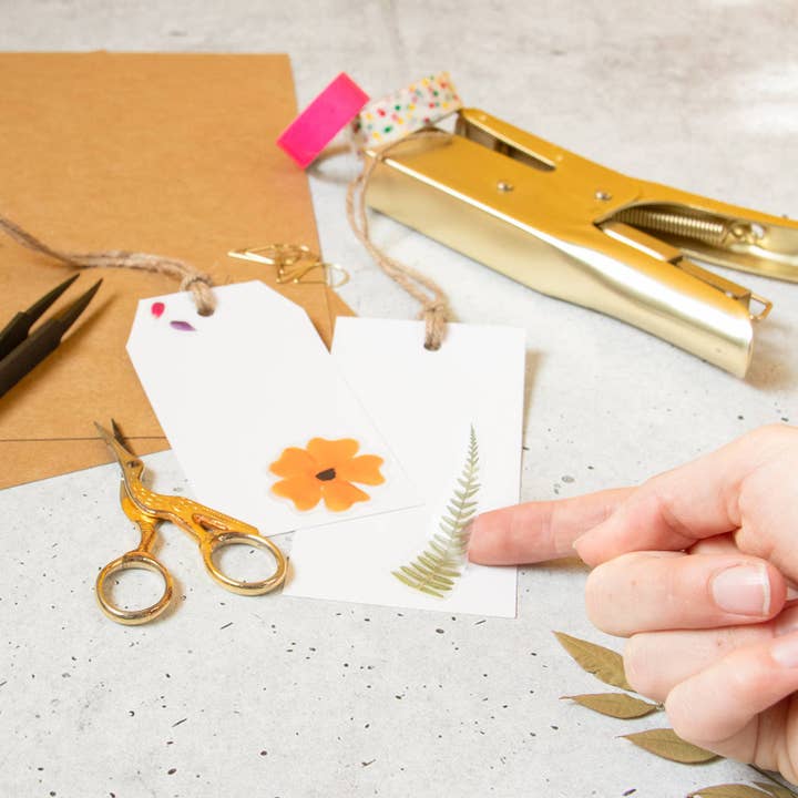 Botanopia USA - gifts , decor and cards for plant lovers - Wholesale Sticker - Pressed Flowers Sticker Sheet2