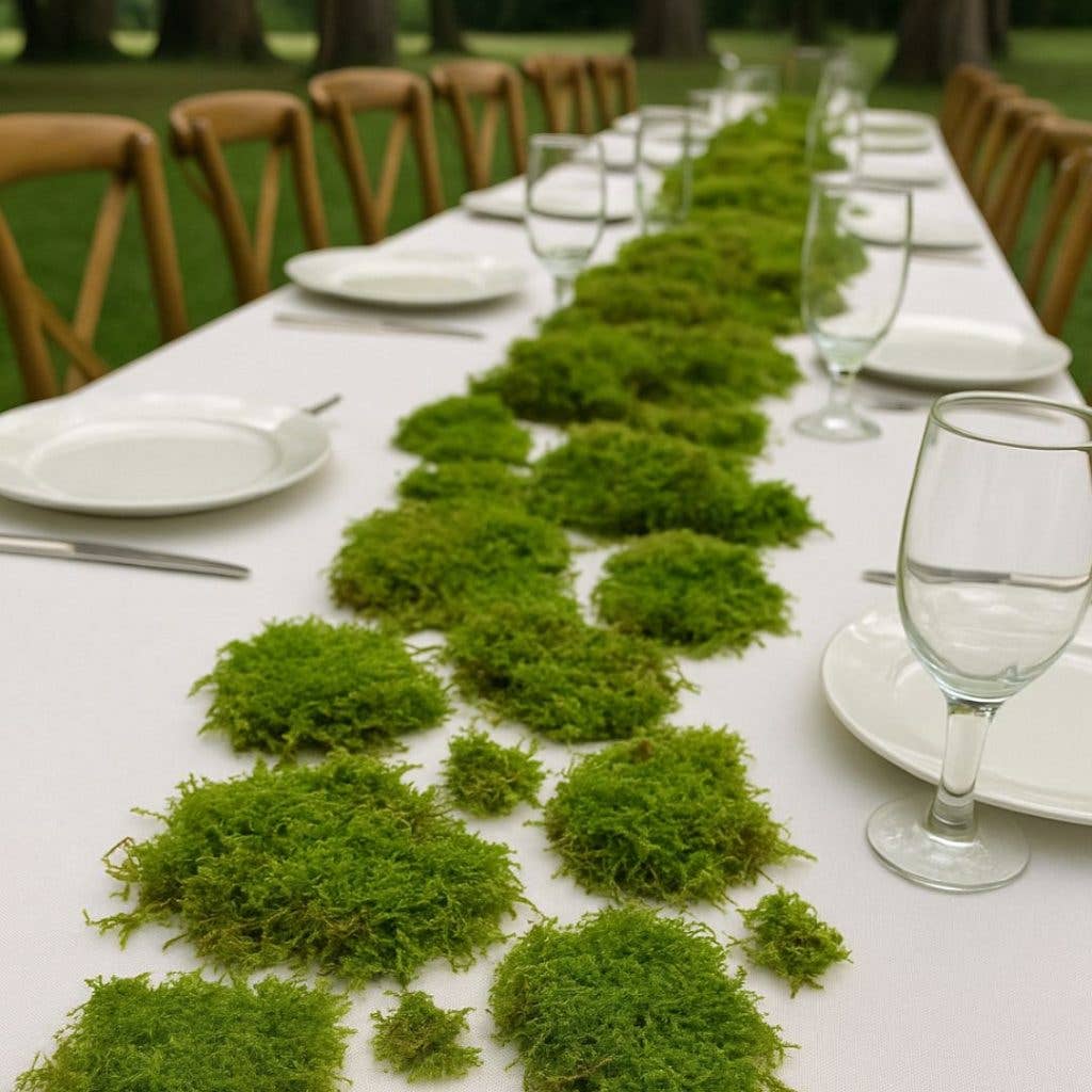 Moss & Stone Gardens - Wholesale Dried/Pressed Flowers - Preserved Sheet Moss | 1 sq ft | 2.5 sq ft | 5 sq ft1