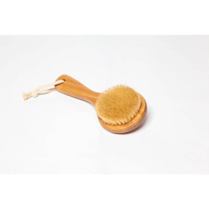 Sponges Direct – Engroshandel Kropsbørste – Rund kropsbørste