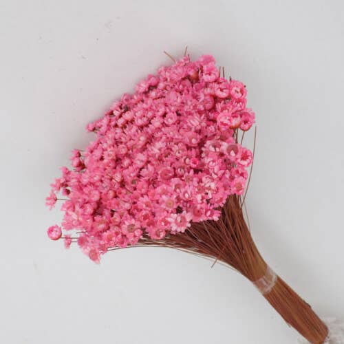 .AVPV. Studio - Wholesale Artificial Flowers - Glixia mini star flowers8