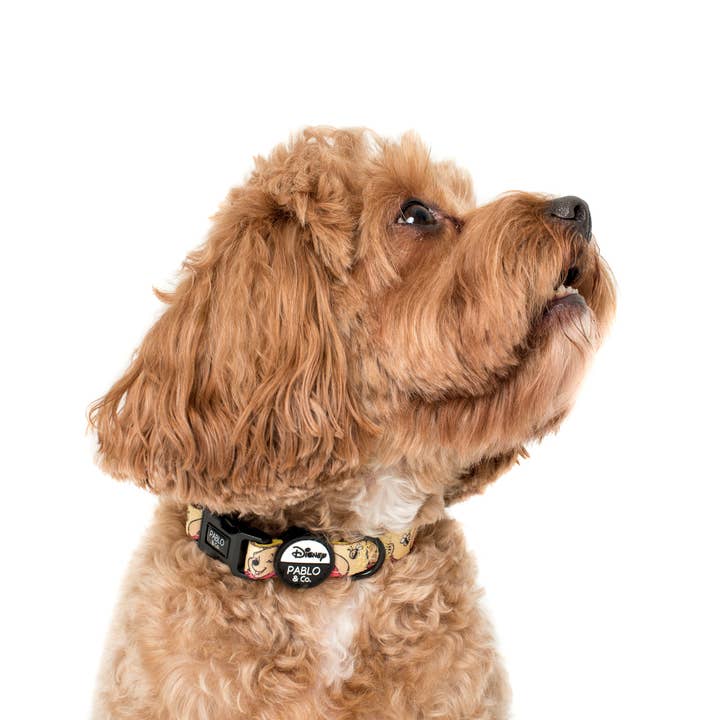 Winnie the Pooh & Abelha: Gola Cão por atacado de Pablo & Co. Boutique