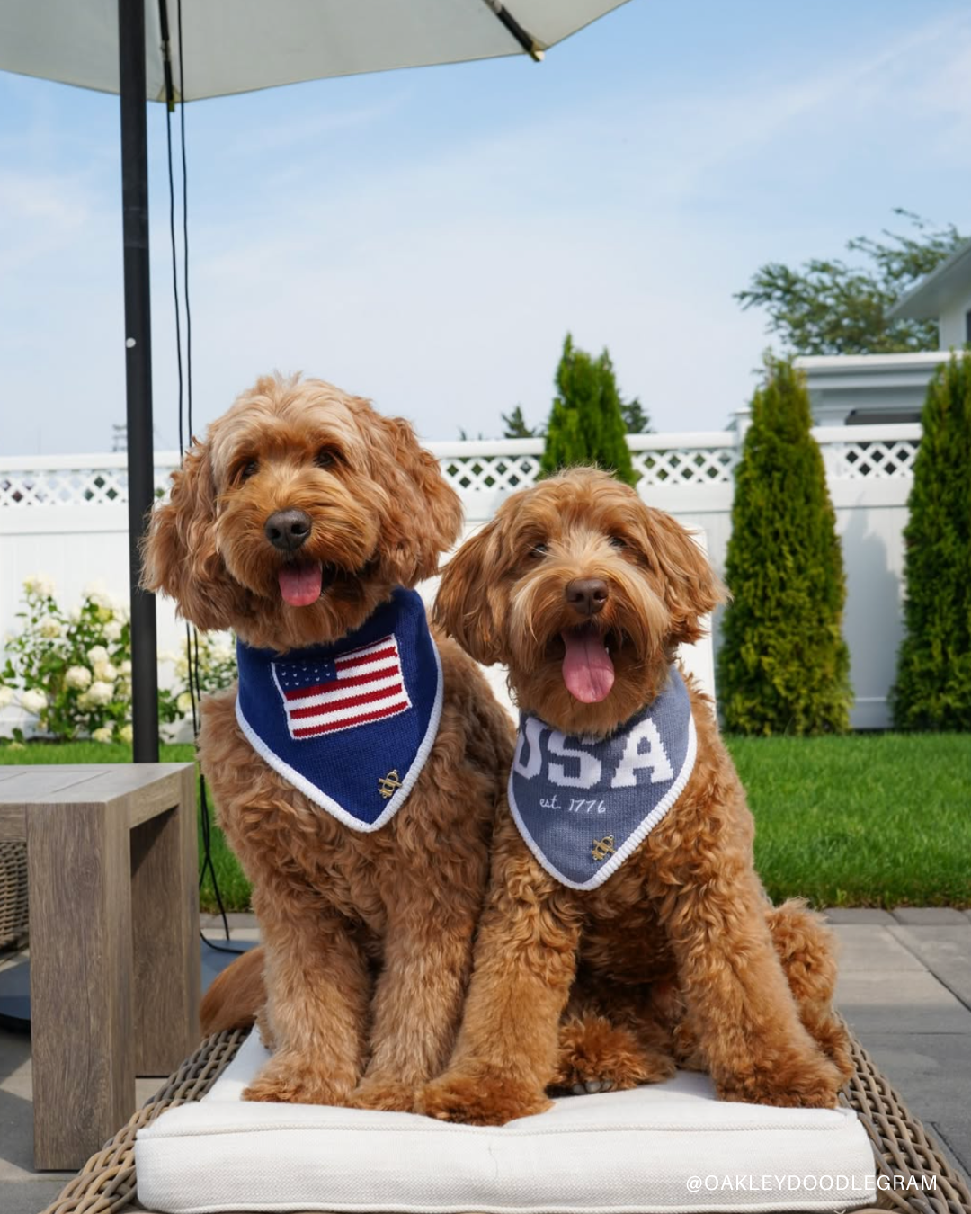 The Deluxe Pup – wholesale Pet bandana – Dog – BANDANA | BENJAMIN ROSS3