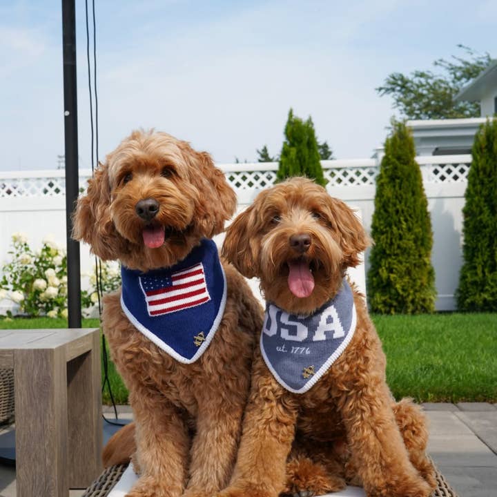 The Deluxe Pup – wholesale Pet bandana – Dog – BANDANA | BENJAMIN ROSS3