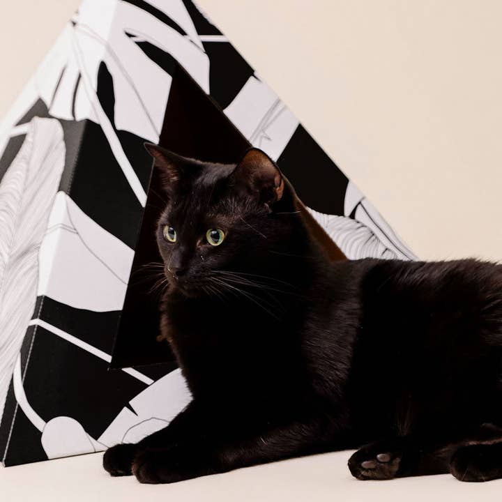 Kitty Kardboard – Coçador de gato - Gato por atacado – Pirâmide de gato de papelão 'Dark Paradise'