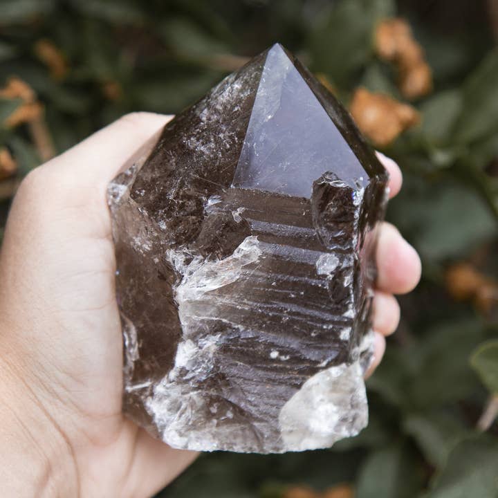 Pointe brute semi-polished en quartz fumé par poids pour la vente par Rock Paradise