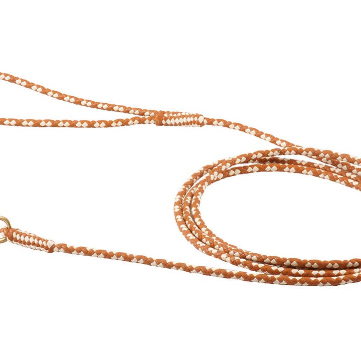 Alvalley - Wholesale Pet Leash - Dog - Braided Leather Snap Leads107