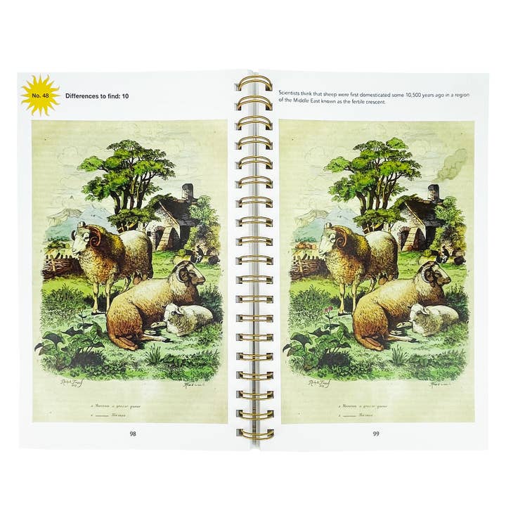 Cottage Door Press - Wholesale Coloring & Activity Book - Adult - Smithsonian Spot the Difference Natural Wonders Book1