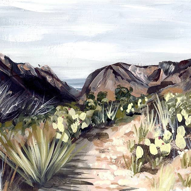 West Texas Desert Big Bend cactus landscape canvas art print for wholesale by Meredith Oneal Art