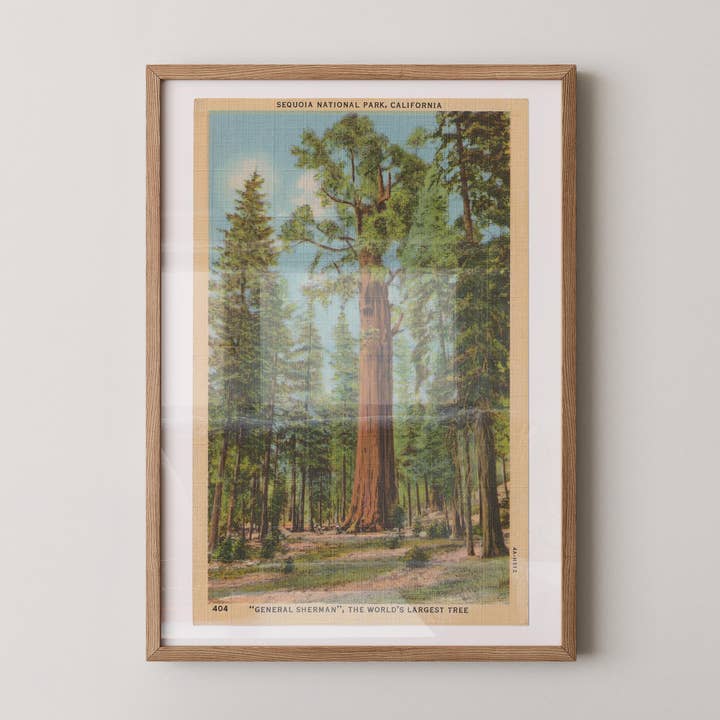 Carte postale des séquoias General Sherman Impression sur papier d'art pour la vente par Retrospect Studios