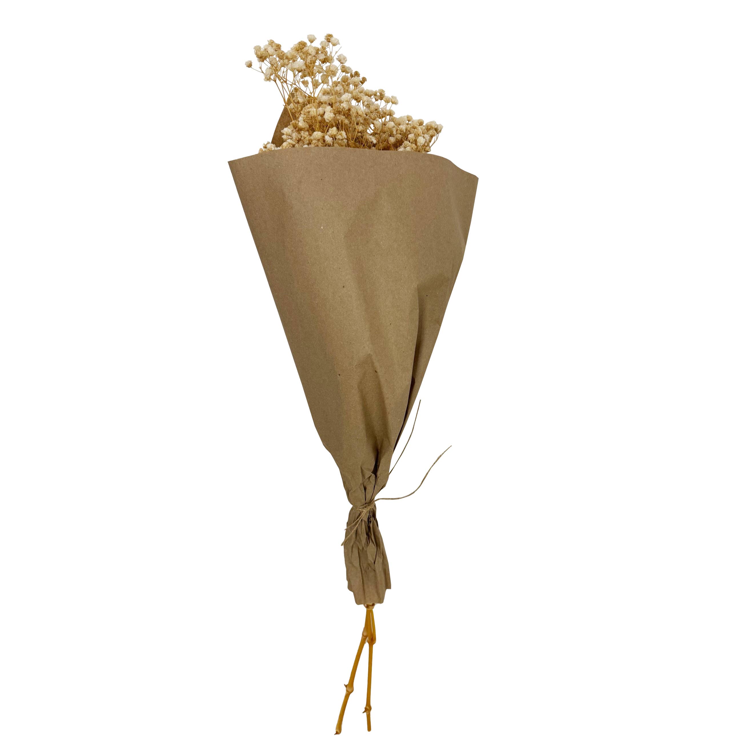 Andaluca - Wholesale Dried/Pressed Flowers - Baby's Breath Flower Bundle #1762