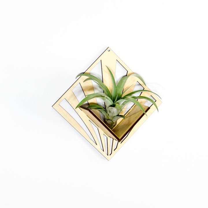 LIGHT RAZOR DESIGN STUDIO - Wholesale Wall planter - Air Plant Holder / Quadrate Wall Hanging Planter 2107