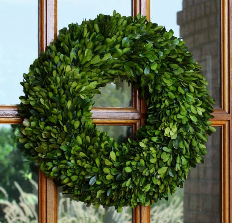 Mills Floral Company - Wholesale Wreath - Preserved Boxwood Wreath - 16 Inch1