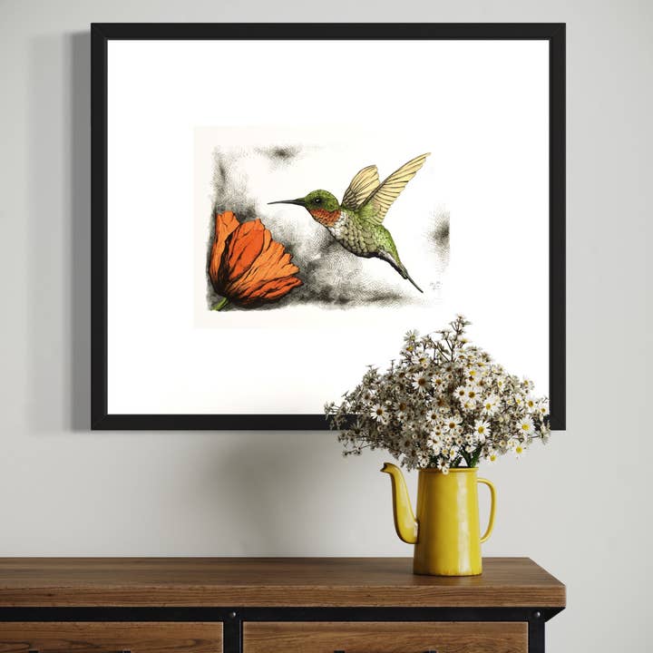 Tony Rubsam Illustrations – wholesale Konsttryck – Rubinhalsad kolibri & vallmopenna och bläckillustration