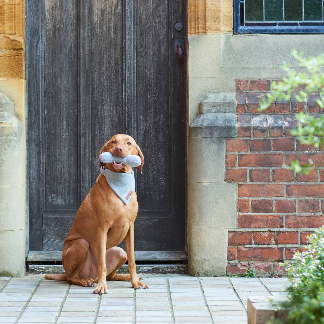 Sweet William Designs - Wholesale Pet Bandana - Dog - Bandana - Grey Tweed4