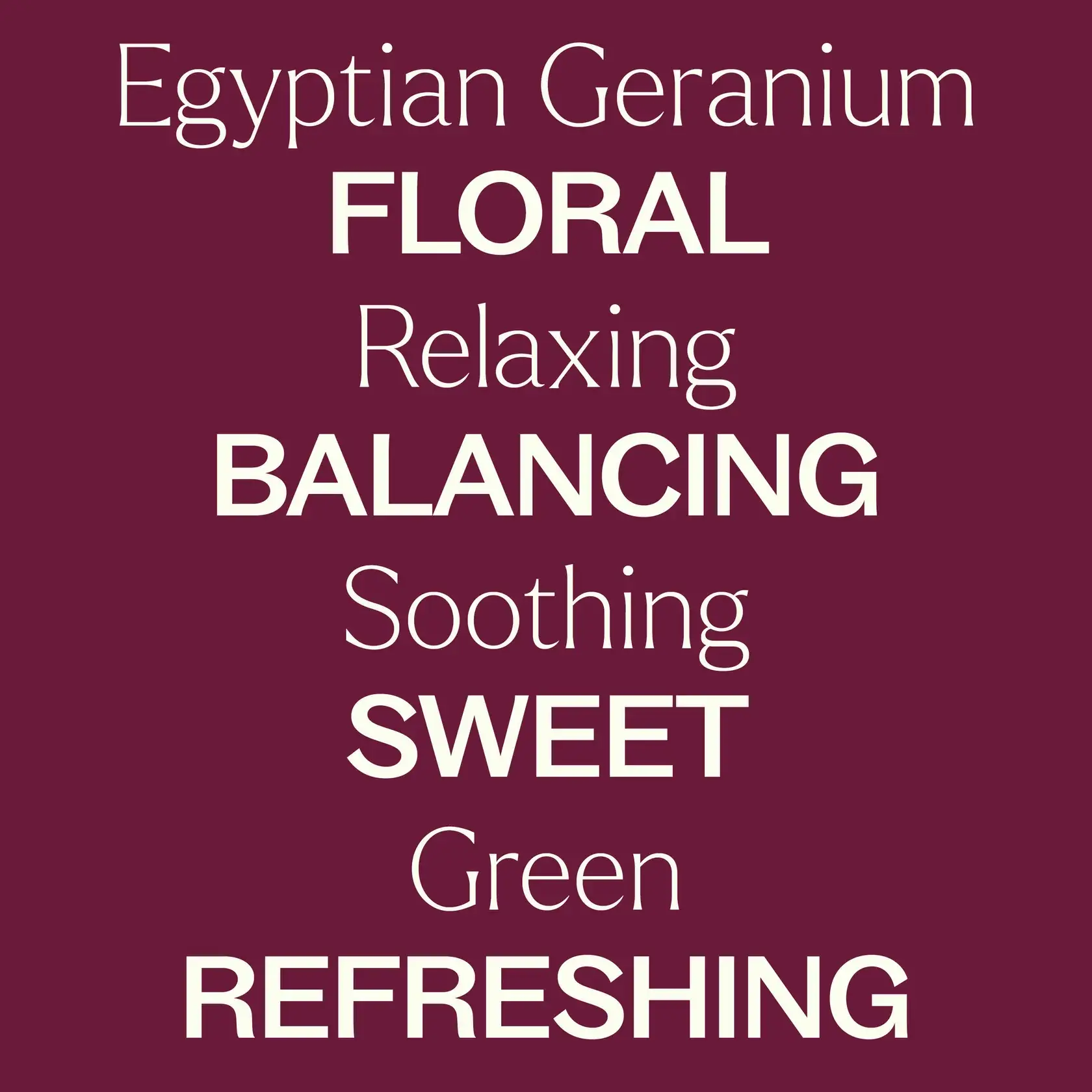 Plant Therapy - Wholesale Essential Oil - Egyptian Geranium Essential Oil 30mL7
