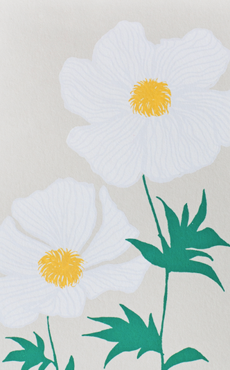 Alphabet Studios - Wholesale Everyday Greeting Card - POPPY GREETING CARD1