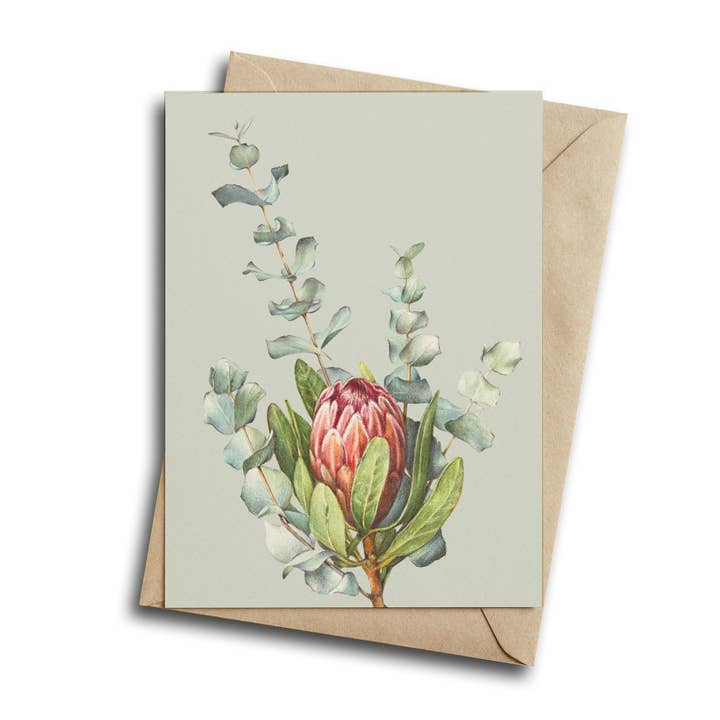 Protea y eucalipto - Tarjeta de felicitación para venta al por mayor de Hayley Wilson