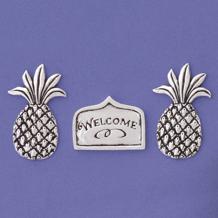 Pineapple Welcome Med. Set de imanes (en caja) para venta al por mayor de Basic Spirit