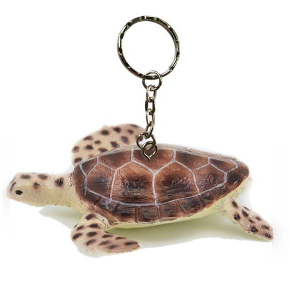 Llavero Tortuga Verde (Pack de 6) para venta al por mayor de Science and Nature