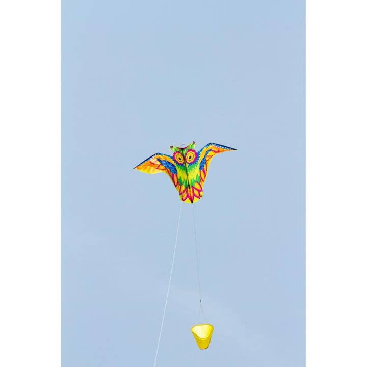 HQ Kites & Designs - Wholesale Kite - Ecoline Flashy Owl Kite5