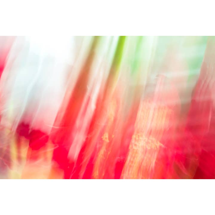 Ein floraler abstrakter Kunstdruck für Weihnachten für den Großhandel von Christi Kraft Photography