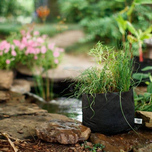 Smart Pots - Wholesale Plant Pot - Pond Pots 10 Gallon12