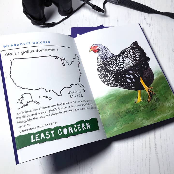 Loadofolbobbins - Wholesale Nature & Outdoors - Bird Illustration Zine 20253