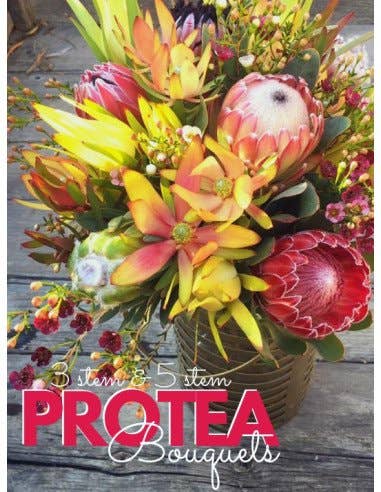 Florasource - Wholesale Fresh Cut Flowers - Large Protea Bouquets 7 or 15 Bunches